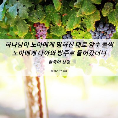 Picture 06 - 창세기 7:9 KOR - 하나님이 노아에게 명하신 대로 암수 - Bible Verse Picture