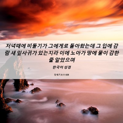 Picture 06 - 창세기 8:11 KOR - 저녁때에 비둘기가 그에게로 - Bible Verse Picture