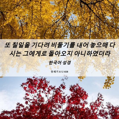 Picture 06 - 창세기 8:12 KOR - 또 칠일을 기다려 비둘기를 내어 - Bible Verse Picture
