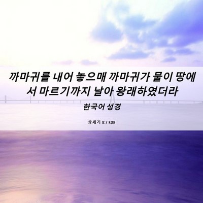 Picture 06 - 창세기 8:7 KOR - 까마귀를 내어 놓으매 까마귀가 물이 - Bible Verse Picture