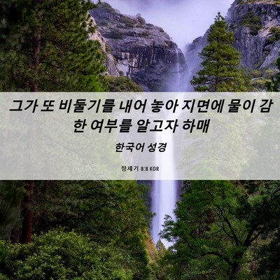 Picture 06 - 창세기 8:8 KOR - 그가 또 비둘기를 내어 놓아 지면에 - Bible Verse Picture