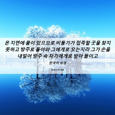 Picture 06 - 창세기 8:9 KOR - 온 지면에 물이 있으므로 비둘기가 - Bible Verse Picture
