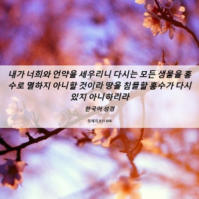 Picture 06 - 창세기 9:11 KOR - 내가 너희와 언약을 세우리니 다시는 - Bible Verse Picture