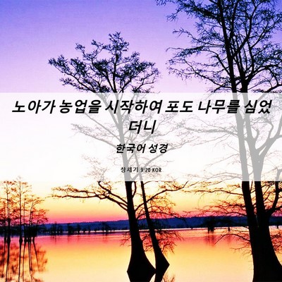 Picture 06 - 창세기 9:20 KOR - 노아가 농업을 시작하여 포도 나무를 - Bible Verse Picture