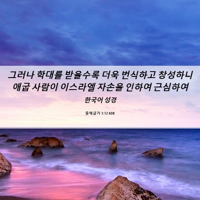 Picture 06 - 출애굽기 1:12 KOR - 그러나 학대를 받을수록 더욱 - Bible Verse Picture