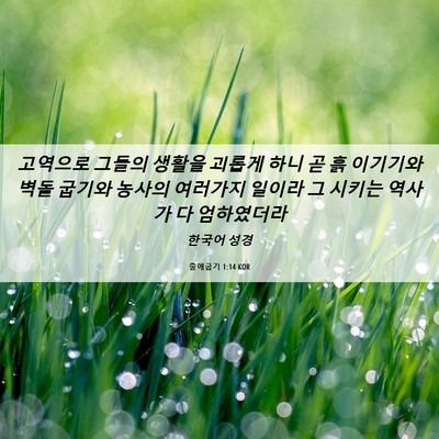 Picture 06 - 출애굽기 1:14 KOR - 고역으로 그들의 생활을 괴롭게 하니 - Bible Verse Picture
