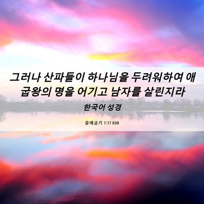 Picture 06 - 출애굽기 1:17 KOR - 그러나 산파들이 하나님을 - Bible Verse Picture