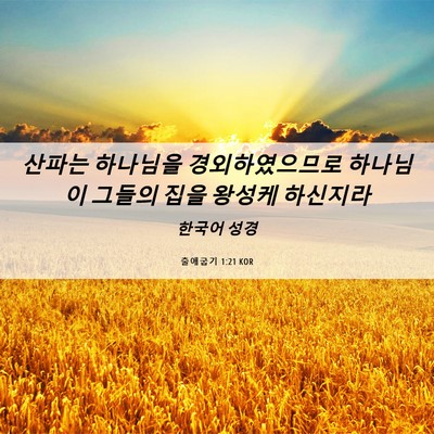 Picture 06 - 출애굽기 1:21 KOR - 산파는 하나님을 경외하였으므로 - Bible Verse Picture