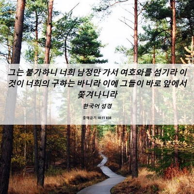 Picture 06 - 출애굽기 10:11 KOR - 그는 불가하니 너희 남정만 가서 - Bible Verse Picture