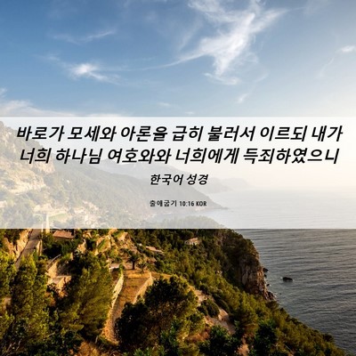 Picture 06 - 출애굽기 10:16 KOR - 바로가 모세와 아론을 급히 불러서 - Bible Verse Picture