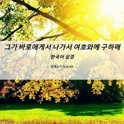 Picture 06 - 출애굽기 10:18 KOR - 그가 바로에게서 나가서 여호와께 - Bible Verse Picture
