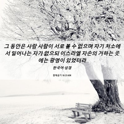 Picture 06 - 출애굽기 10:23 KOR - 그 동안은 사람 사람이 서로 볼 수 - Bible Verse Picture