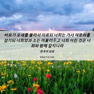 Picture 06 - 출애굽기 10:24 KOR - 바로가 모세를 불러서 이르되 너희는 - Bible Verse Picture
