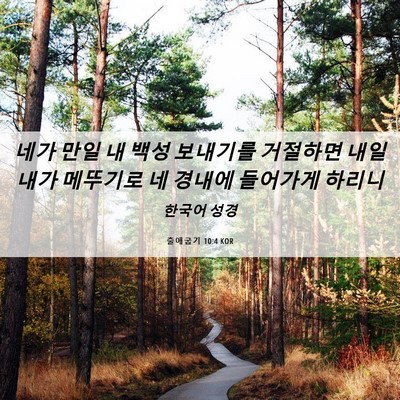 Picture 06 - 출애굽기 10:4 KOR - 네가 만일 내 백성 보내기를 - Bible Verse Picture