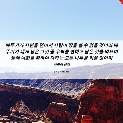 Picture 06 - 출애굽기 10:5 KOR - 메뚜기가 지면을 덮어서 사람이 땅을 - Bible Verse Picture