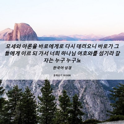 Picture 06 - 출애굽기 10:8 KOR - 모세와 아론을 바로에게로 다시 - Bible Verse Picture