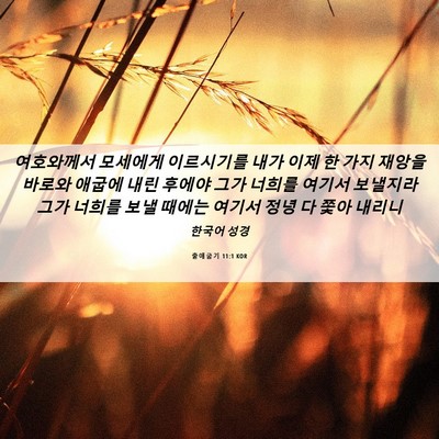 Picture 06 - 출애굽기 11:1 KOR - 여호와께서 모세에게 이르시기를 - Bible Verse Picture