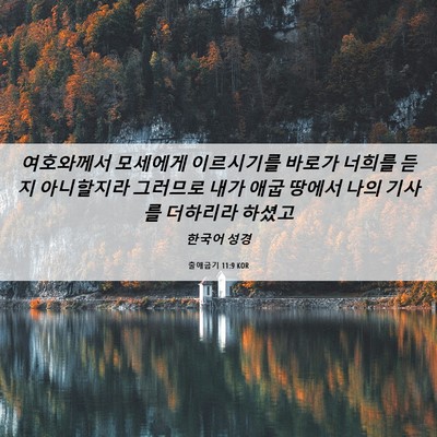Picture 06 - 출애굽기 11:9 KOR - 여호와께서 모세에게 이르시기를 - Bible Verse Picture