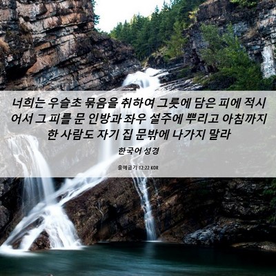 Picture 06 - 출애굽기 12:22 KOR - 너희는 우슬초 묶음을 취하여 그릇에 - Bible Verse Picture