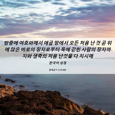 Picture 06 - 출애굽기 12:29 KOR - 밤중에 여호와께서 애굽 땅에서 모든 - Bible Verse Picture