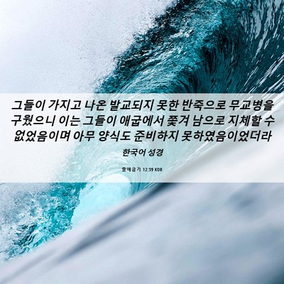 Picture 06 - 출애굽기 12:39 KOR - 그들이 가지고 나온 발교되지 못한 - Bible Verse Picture