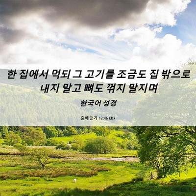 Picture 06 - 출애굽기 12:46 KOR - 한 집에서 먹되 그 고기를 조금도 집 - Bible Verse Picture