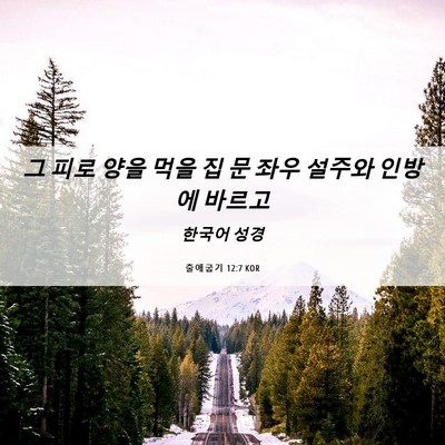 Picture 06 - 출애굽기 12:7 KOR - 그 피로 양을 먹을 집 문 좌우 설주와 - Bible Verse Picture