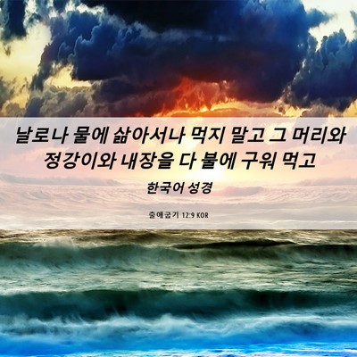 Picture 06 - 출애굽기 12:9 KOR - 날로나 물에 삶아서나 먹지 말고 그 - Bible Verse Picture