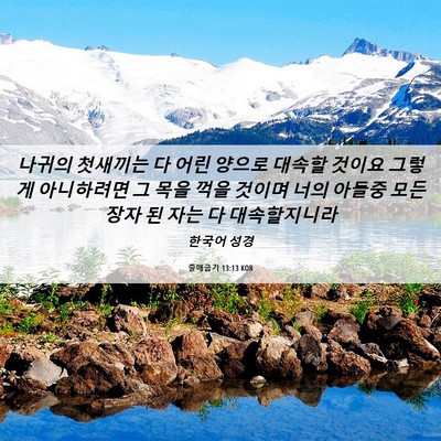 Picture 06 - 출애굽기 13:13 KOR - 나귀의 첫새끼는 다 어린 양으로 - Bible Verse Picture