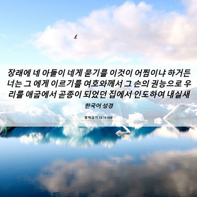 Picture 06 - 출애굽기 13:14 KOR - 장래에 네 아들이 네게 묻기를 - Bible Verse Picture