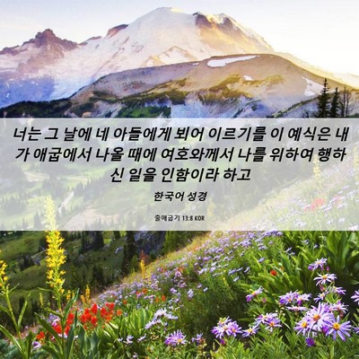 Picture 06 - 출애굽기 13:8 KOR - 너는 그 날에 네 아들에게 뵈어 - Bible Verse Picture