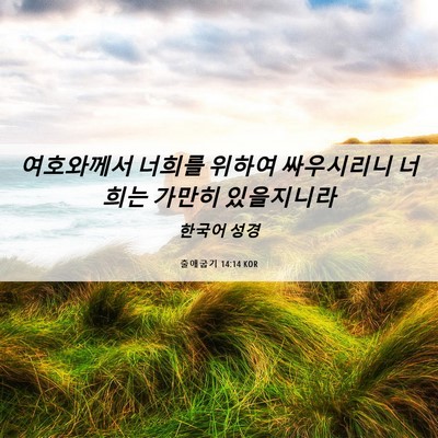 Picture 06 - 출애굽기 14:14 KOR - 여호와께서 너희를 위하여 - Bible Verse Picture