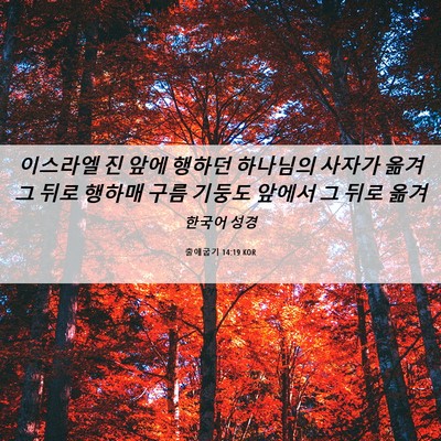 Picture 06 - 출애굽기 14:19 KOR - 이스라엘 진 앞에 행하던 하나님의 - Bible Verse Picture