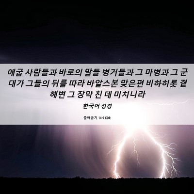 Picture 06 - 출애굽기 14:9 KOR - 애굽 사람들과 바로의 말들 병거들과 - Bible Verse Picture