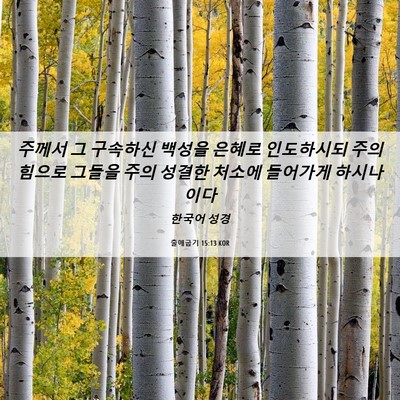Picture 06 - 출애굽기 15:13 KOR - 주께서 그 구속하신 백성을 은혜로 - Bible Verse Picture