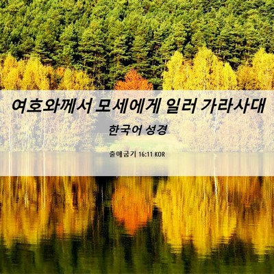 Picture 06 - 출애굽기 16:11 KOR - 여호와께서 모세에게 일러 - Bible Verse Picture