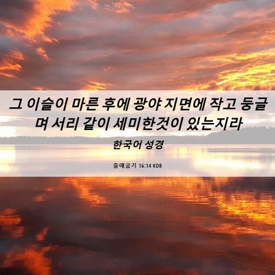 Picture 06 - 출애굽기 16:14 KOR - 그 이슬이 마른 후에 광야 지면에 - Bible Verse Picture