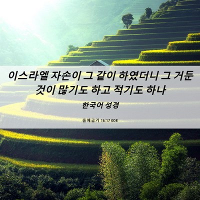 Picture 06 - 출애굽기 16:17 KOR - 이스라엘 자손이 그 같이 하였더니 - Bible Verse Picture