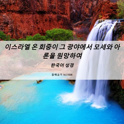 Picture 06 - 출애굽기 16:2 KOR - 이스라엘 온 회중이 그 광야에서 - Bible Verse Picture