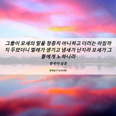 Picture 06 - 출애굽기 16:20 KOR - 그들이 모세의 말을 청종치 아니하고 - Bible Verse Picture