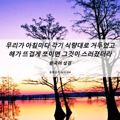 Picture 06 - 출애굽기 16:21 KOR - 무리가 아침마다 각기 식량대로 - Bible Verse Picture