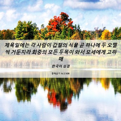 Picture 06 - 출애굽기 16:22 KOR - 제육일에는 각 사람이 갑절의 식물 - Bible Verse Picture