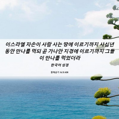 Picture 06 - 출애굽기 16:35 KOR - 이스라엘 자손이 사람 사는 땅에 - Bible Verse Picture