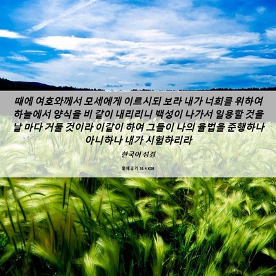 Picture 06 - 출애굽기 16:4 KOR - 때에 여호와께서 모세에게 이르시되 - Bible Verse Picture