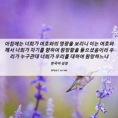 Picture 06 - 출애굽기 16:7 KOR - 아침에는 너희가 여호와의 영광을 - Bible Verse Picture