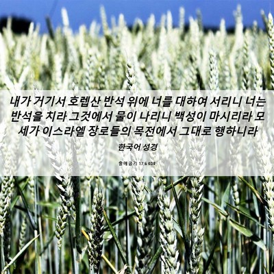Picture 06 - 출애굽기 17:6 KOR - 내가 거기서 호렙산 반석 위에 너를 - Bible Verse Picture