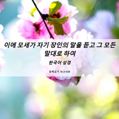 Picture 06 - 출애굽기 18:24 KOR - 이에 모세가 자기 장인의 말을 듣고 - Bible Verse Picture