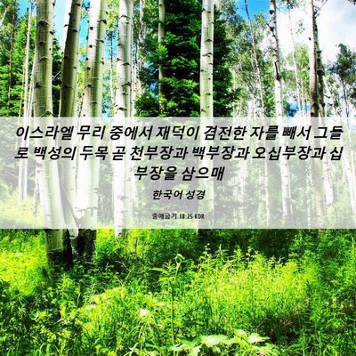 Picture 06 - 출애굽기 18:25 KOR - 이스라엘 무리 중에서 재덕이 겸전한 - Bible Verse Picture