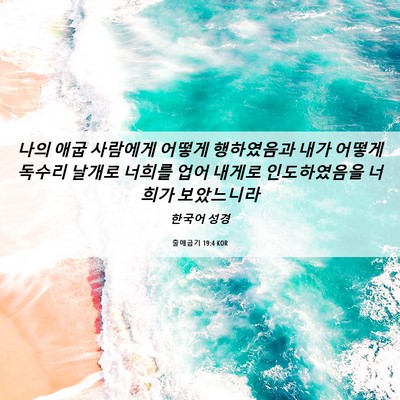 Picture 06 - 출애굽기 19:4 KOR - 나의 애굽 사람에게 어떻게 - Bible Verse Picture