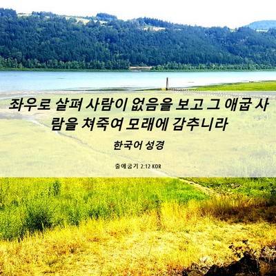 Picture 06 - 출애굽기 2:12 KOR - 좌우로 살펴 사람이 없음을 보고 그 - Bible Verse Picture
